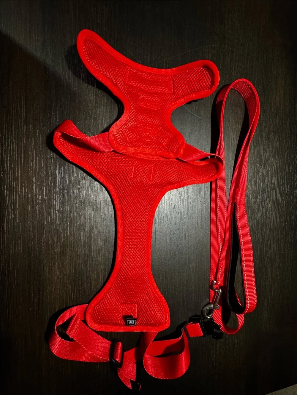 Bright Red Padded Dog Harness with Matching Leash
